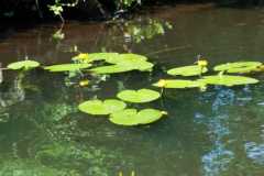 Bootsgrillen-2021-Bild-25