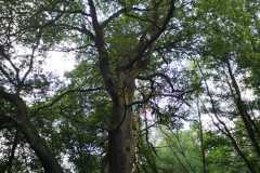 Bootsgrillen-2021-Bild-27