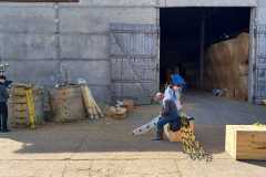 Arbeitseinsatz-AGRAR-2024-Bild-11