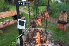 Bootsgrillenr-2024-Bild-08